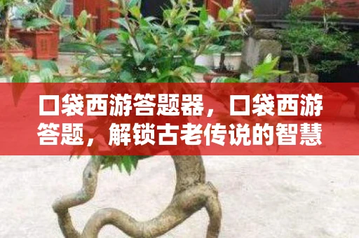 口袋西游答题器，口袋西游答题，解锁古老传说的智慧钥匙