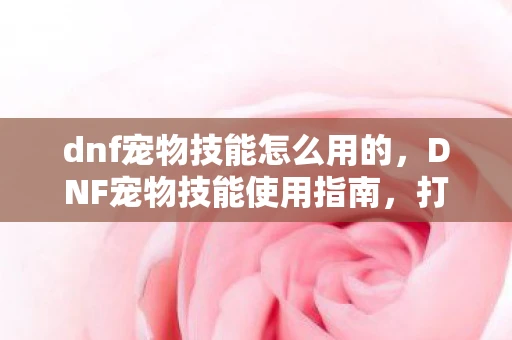 dnf宠物技能怎么用的,DNF宠物技能使用指南,打造最强战斗伙伴 dnf宠物技能怎么用的,DNF宠物技能使用指南,打造最强战斗伙伴