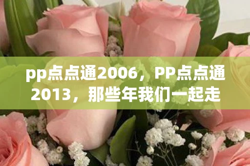 pp点点通2006，PP点点通2013，那些年我们一起走过的日子