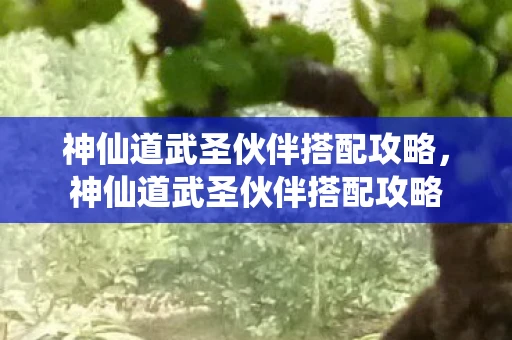 神仙道武圣伙伴搭配攻略，神仙道武圣伙伴搭配攻略