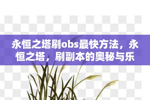 永恒之塔刷obs最快方法，永恒之塔，刷副本的奥秘与乐趣