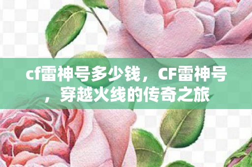 cf雷神号多少钱，CF雷神号，穿越火线的传奇之旅