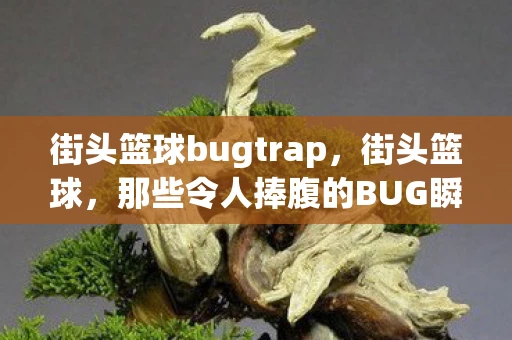 街头篮球bugtrap，街头篮球，那些令人捧腹的BUG瞬间