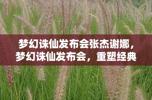 梦幻诛仙发布会张杰谢娜，梦幻诛仙发布会，重塑经典，再启征程