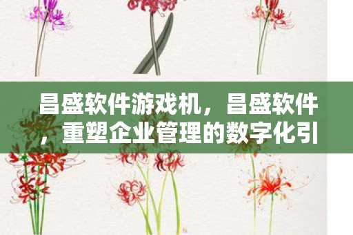 昌盛软件游戏机,昌盛软件,重塑企业管理的数字化引擎 昌盛软件游戏机,昌盛软件,重塑企业管理的数字化引擎