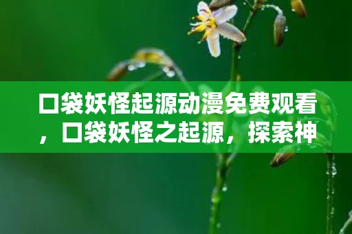 口袋妖怪起源动漫免费观看，口袋妖怪之起源，探索神奇宝贝的动漫世界