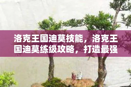洛克王国迪莫技能，洛克王国迪莫练级攻略，打造最强宠物