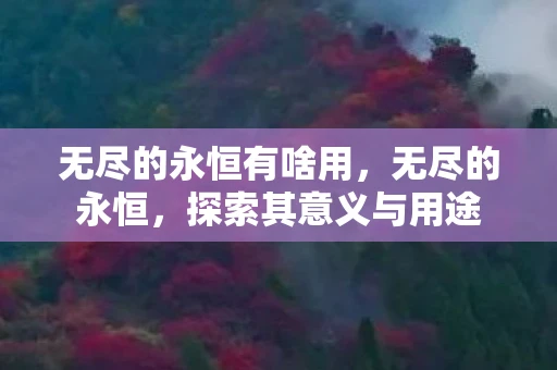 无尽的永恒有啥用,无尽的永恒,探索其意义与用途 无尽的永恒有啥用,无尽的永恒,探索其意义与用途