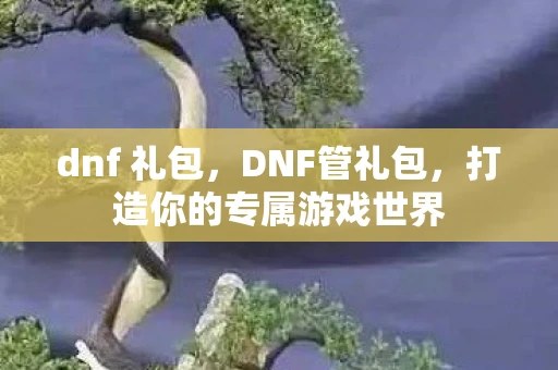dnf 礼包，DNF管礼包，打造你的专属游戏世界