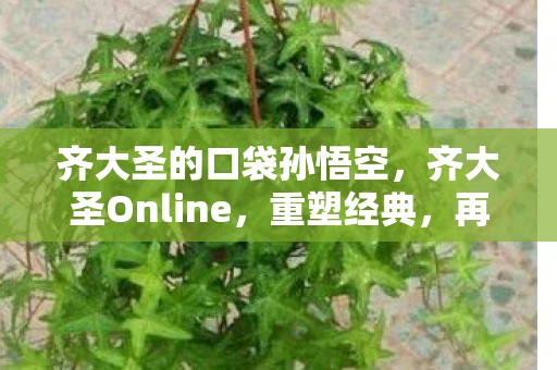 齐大圣的口袋孙悟空,齐大圣Online,重塑经典,再续西游传奇 齐大圣的口袋孙悟空,齐大圣Online,重塑经典,再续西游传奇