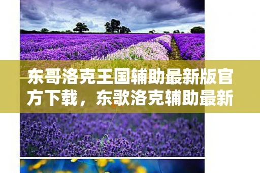 东哥洛克王国辅助最新版官方下载，东歌洛克辅助最新版，游戏玩家的福音