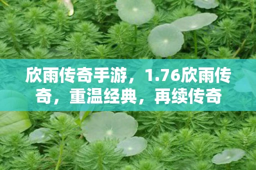 欣雨传奇手游,1.76欣雨传奇,重温经典,再续传奇 欣雨传奇手游,1.76欣雨传奇,重温经典,再续传奇
