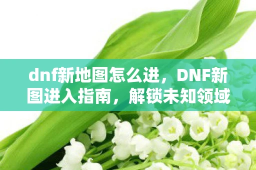 dnf新地图怎么进，DNF新图进入指南，解锁未知领域的冒险之旅