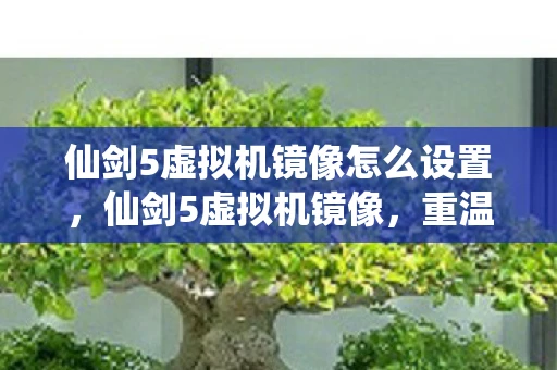 仙剑5虚拟机镜像怎么设置,仙剑5虚拟机镜像,重温经典,再续前缘 仙剑5虚拟机镜像怎么设置,仙剑5虚拟机镜像,重温经典,再续前缘