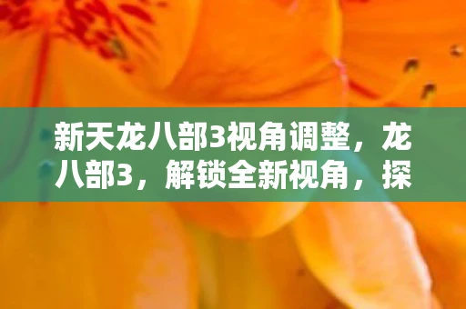 新天龙八部3视角调整，龙八部3，解锁全新视角，探索奇幻世界