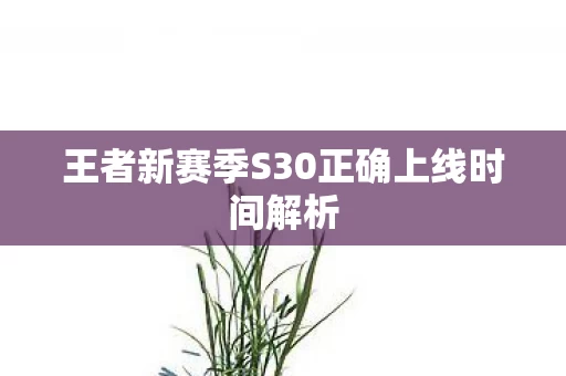 王者新赛季S30正确上线时间解析图片