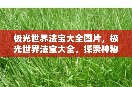 极光世界法宝大全图片,极光世界法宝大全,探索神秘法宝,提升你的冒险之旅 极光世界法宝大全图片,极光世界法宝大全,探索神秘法宝,提升你的冒险之旅