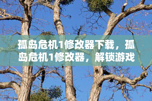 孤岛危机1修改器下载,孤岛危机1修改器,解锁游戏新体验 孤岛危机1修改器下载,孤岛危机1修改器,解锁游戏新体验