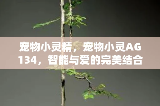 宠物小灵精,宠物小灵AG134,智能与爱的完美结合 宠物小灵精,宠物小灵AG134,智能与爱的完美结合
