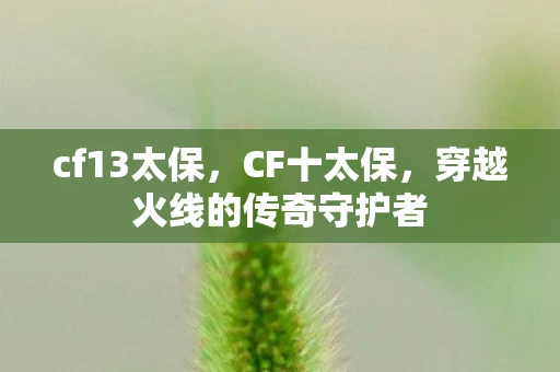 cf13太保，CF十太保，穿越火线的传奇守护者