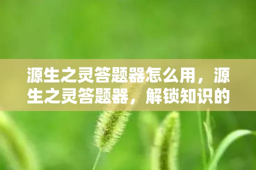 源生之灵答题器怎么用，源生之灵答题器，解锁知识的新钥匙