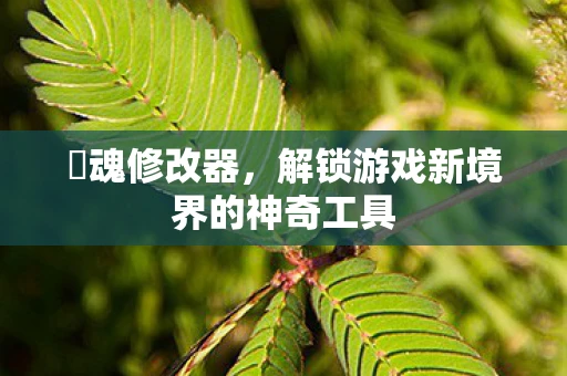 囧魂修改器，解锁游戏新境界的神奇工具