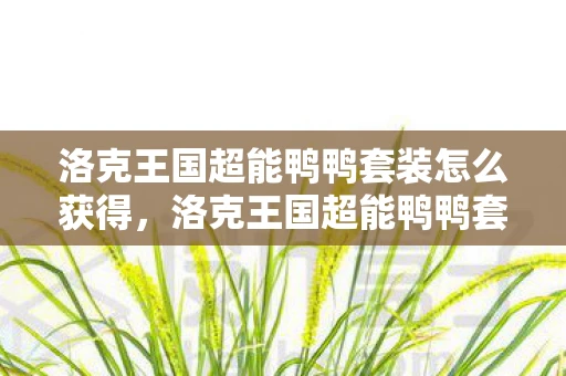 洛克王国超能鸭鸭套装怎么获得，洛克王国超能鸭鸭套装，时尚与魔法的完美融合