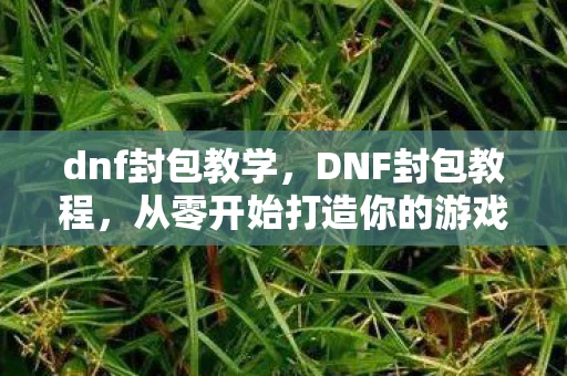 dnf封包教学,DNF封包教程,从零开始打造你的游戏外挂 dnf封包教学,DNF封包教程,从零开始打造你的游戏外挂