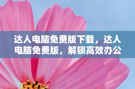 达人电脑免费版下载，达人电脑免费版，解锁高效办公与娱乐新体验
