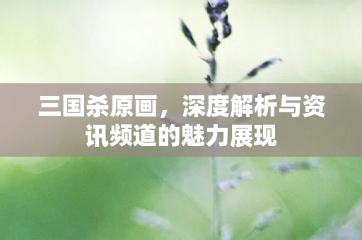 深度解析与资讯频道的魅力展现图片