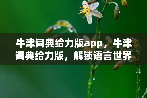 牛津词典给力版app，牛津词典给力版，解锁语言世界的奥秘