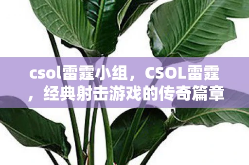 csol雷霆小组，CSOL雷霆，经典射击游戏的传奇篇章