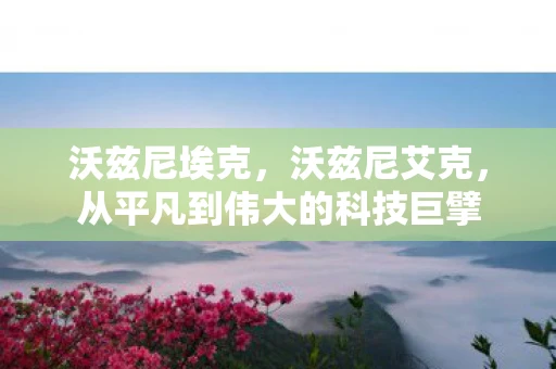 沃兹尼埃克，沃兹尼艾克，从平凡到伟大的科技巨擘