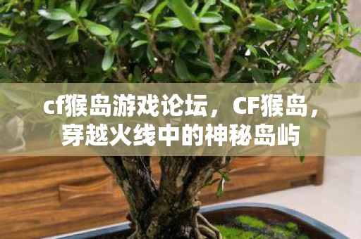 cf猴岛游戏论坛，CF猴岛，穿越火线中的神秘岛屿