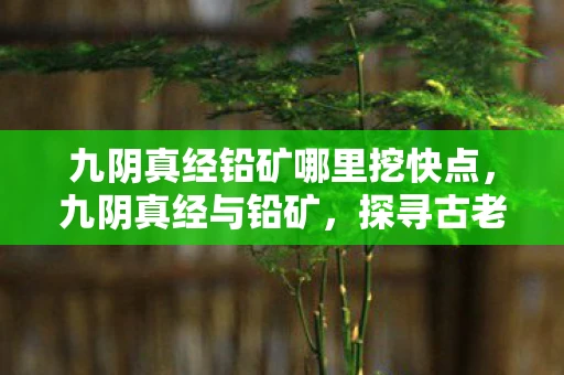 九阴真经铅矿哪里挖快点，九阴真经与铅矿，探寻古老秘籍与现代科技的奇妙交汇