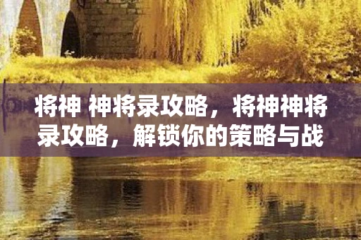 将神 神将录攻略，将神神将录攻略，解锁你的策略与战斗潜能