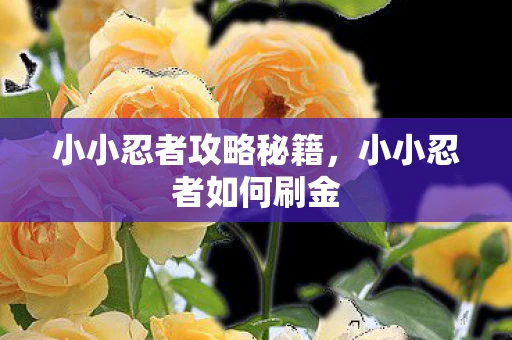 小小忍者攻略秘籍，小小忍者如何刷金