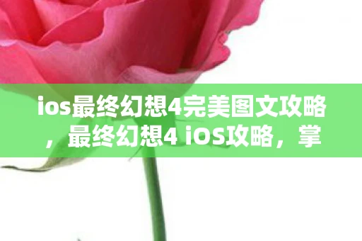 ios最终幻想4完美图文攻略，最终幻想4 iOS攻略，掌握游戏精髓，轻松通关