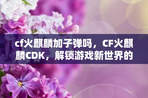 cf火麒麟加子弹吗，CF火麒麟CDK，解锁游戏新世界的神秘钥匙