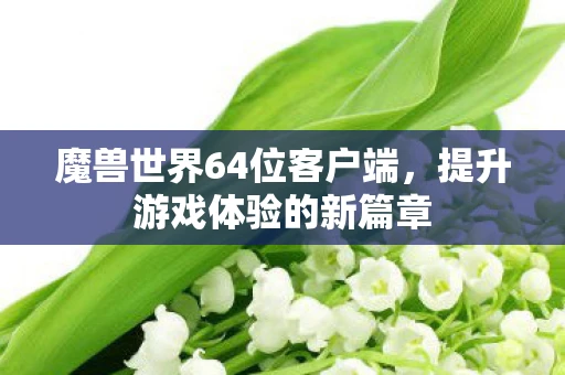 魔兽世界64位客户端，提升游戏体验的新篇章
