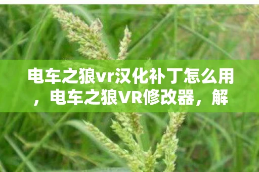 电车之狼vr汉化补丁怎么用，电车之狼VR修改器，解锁虚拟世界的无限可能