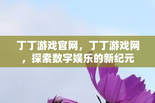 丁丁游戏官网，丁丁游戏网，探索数字娱乐的新纪元