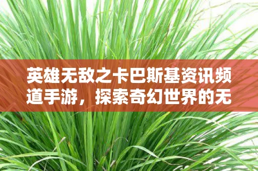 英雄无敌之卡巴斯基资讯频道手游图片