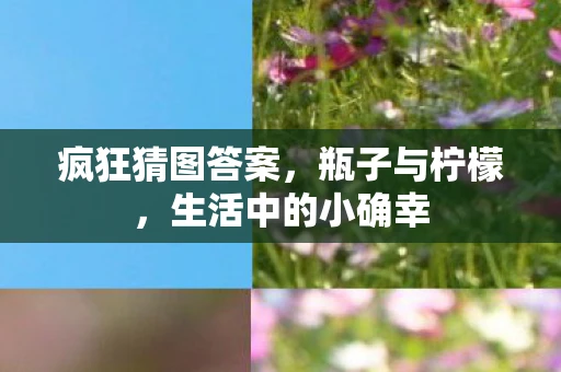 疯狂猜图答案,瓶子与柠檬,生活中的小确幸 疯狂猜图答案,瓶子与柠檬,生活中的小确幸