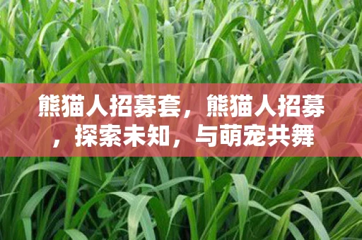 熊猫人招募套,熊猫人招募,探索未知,与萌宠共舞 熊猫人招募套,熊猫人招募,探索未知,与萌宠共舞