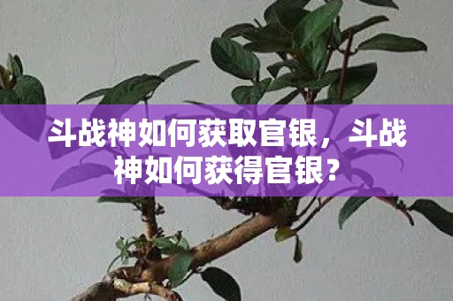 斗战神如何获取官银,斗战神如何获得官银? 斗战神如何获取官银,斗战神如何获得官银?