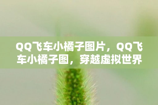 QQ飞车小橘子图片，QQ飞车小橘子图，穿越虚拟世界的梦幻之旅
