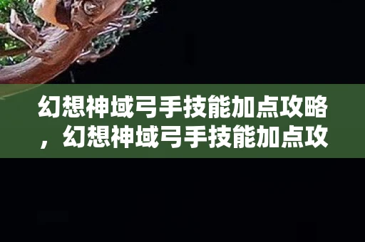 幻想神域弓手技能加点攻略，幻想神域弓手技能加点攻略，打造高效战斗力的关键