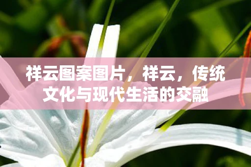 祥云图案图片,祥云,传统文化与现代生活的交融 祥云图案图片,祥云,传统文化与现代生活的交融