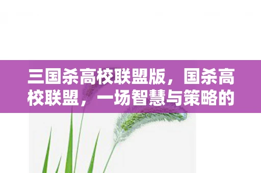三国杀高校联盟版，国杀高校联盟，一场智慧与策略的盛宴